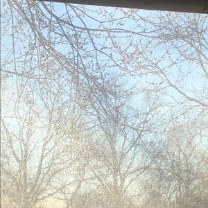 Meet your Posher, Steven